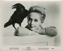 The Birds (1963) - publicity still - Publicity still for ''The Birds''.
